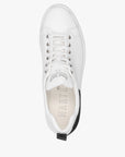 Angel's Rise White / Black Wing